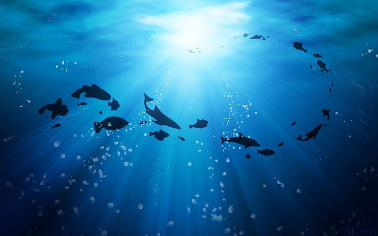 water, ocean, fish, silhouettes - desktop wallpaper
