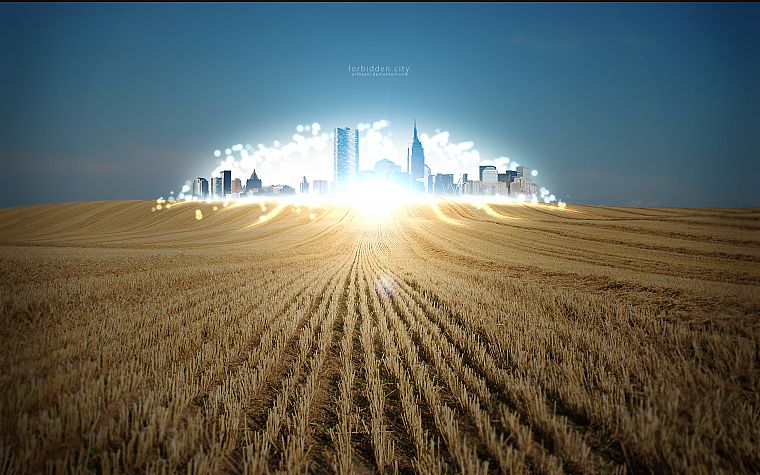 light, cityscapes, lights, architecture, fields, wheat, buildings, cities - desktop wallpaper