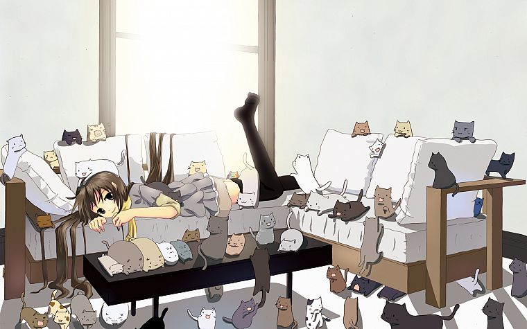 cats, anime girls - desktop wallpaper