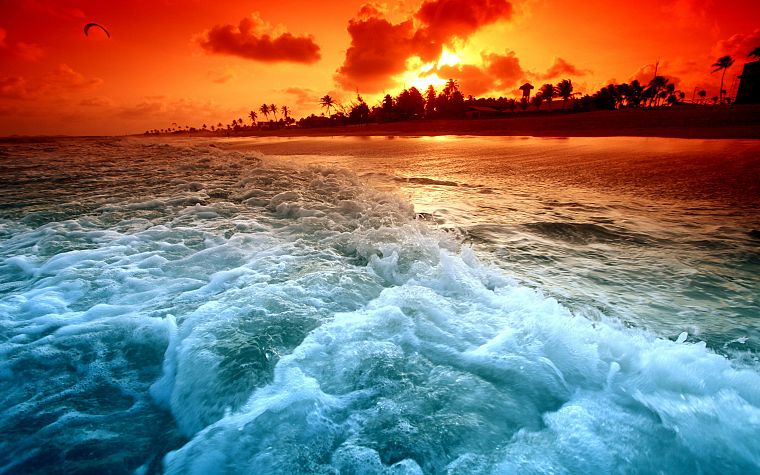 landscapes, nature, shore, paradise, beaches - desktop wallpaper