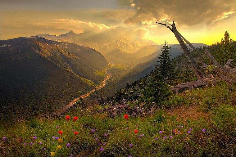 mountains, clouds, landscapes, nature, flowers, valleys, wildflowers - desktop wallpaper