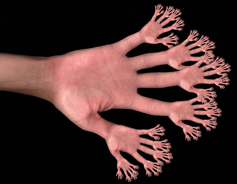 palm, fractals, hands, photo manipulation - desktop wallpaper