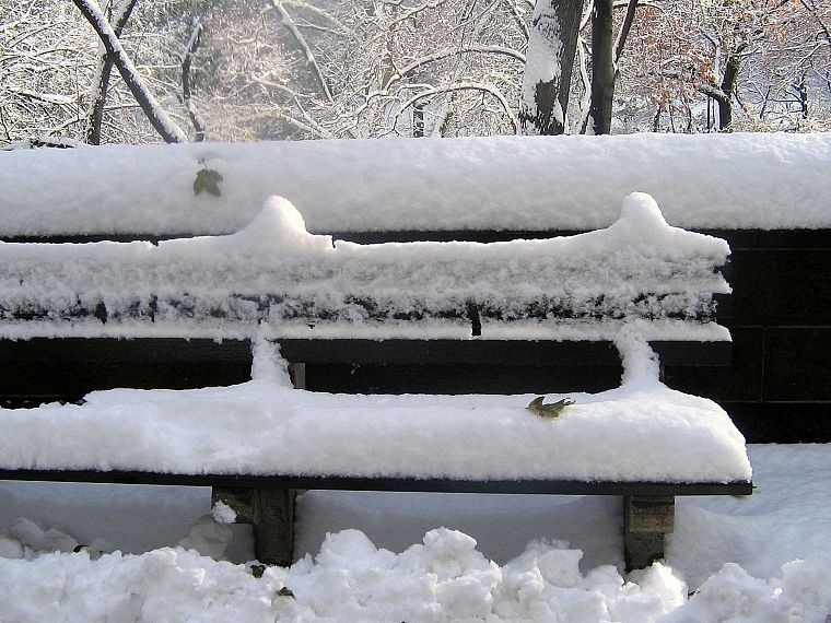 winter, snow, park bench - desktop wallpaper