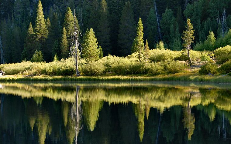 water, landscapes, nature, reflections - desktop wallpaper
