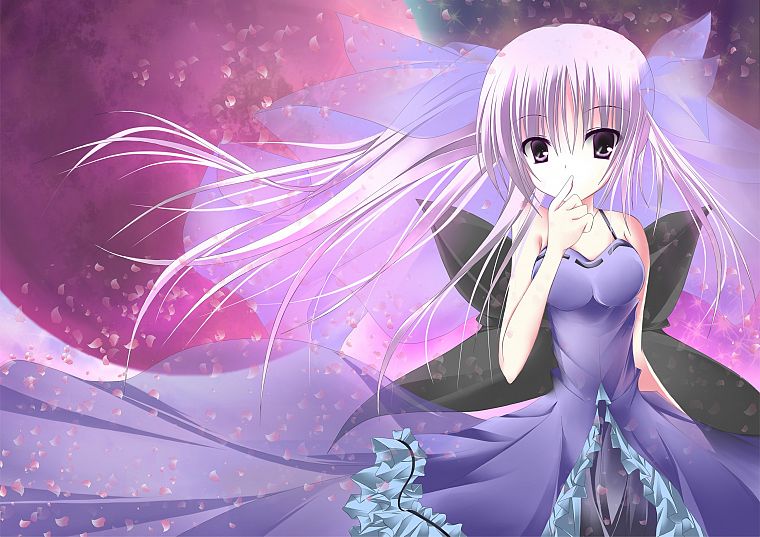 dress, ribbons, purple eyes, gray hair, anime girls - desktop wallpaper