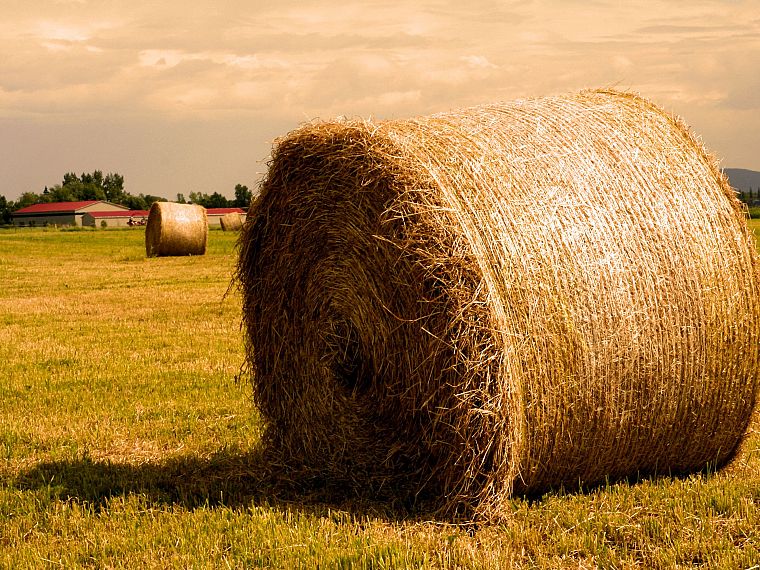 landscapes, hay, farmland - desktop wallpaper