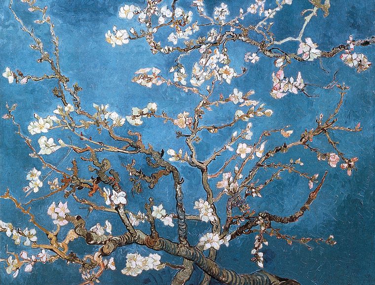 blossoms, Vincent Van Gogh, artwork, almond - desktop wallpaper