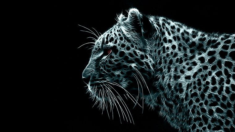 black, white, digital, leopards - desktop wallpaper