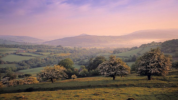 landscapes, nature, Wales, parks - desktop wallpaper