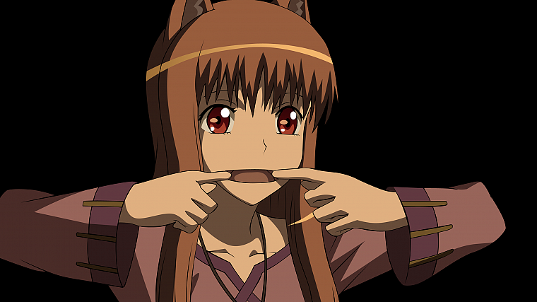 Spice and Wolf, vectors, transparent, animal ears, Holo The Wise Wolf, anime vectors - desktop wallpaper