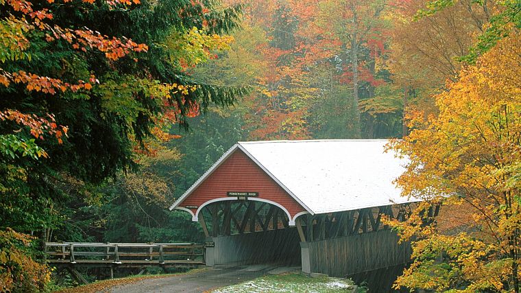 autumn, bridges, parks, Notch - desktop wallpaper