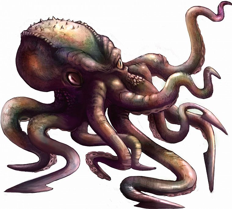 octopuses - desktop wallpaper