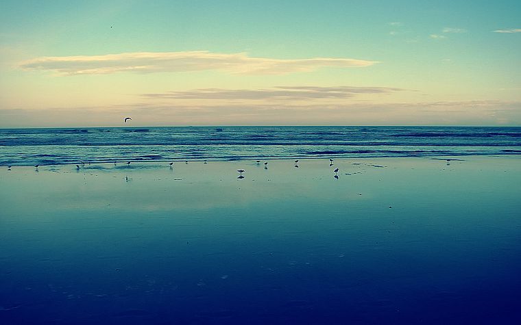 water, ocean, landscapes, seagulls - desktop wallpaper
