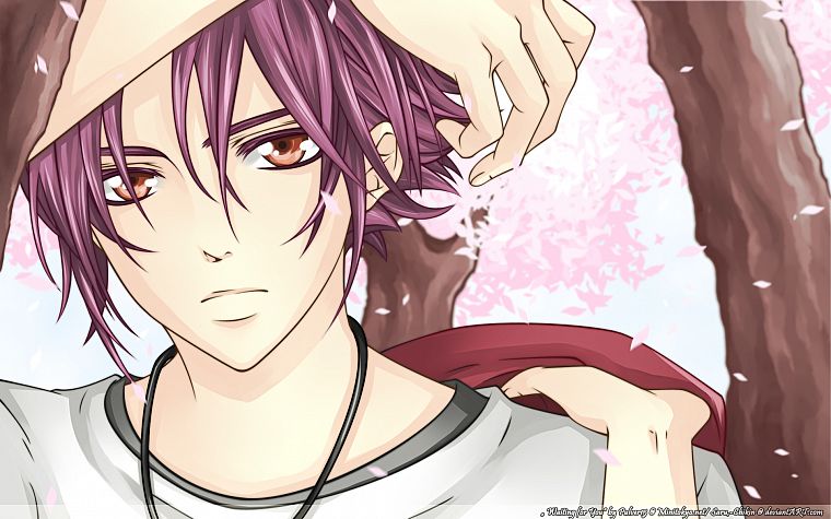 DeviantART, purple hair, pink hair, anime boys, flower petals - desktop wallpaper
