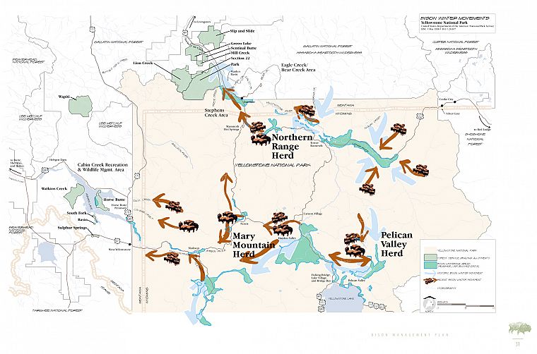 buffalo, maps, infographics, Native Americans, migration - desktop wallpaper
