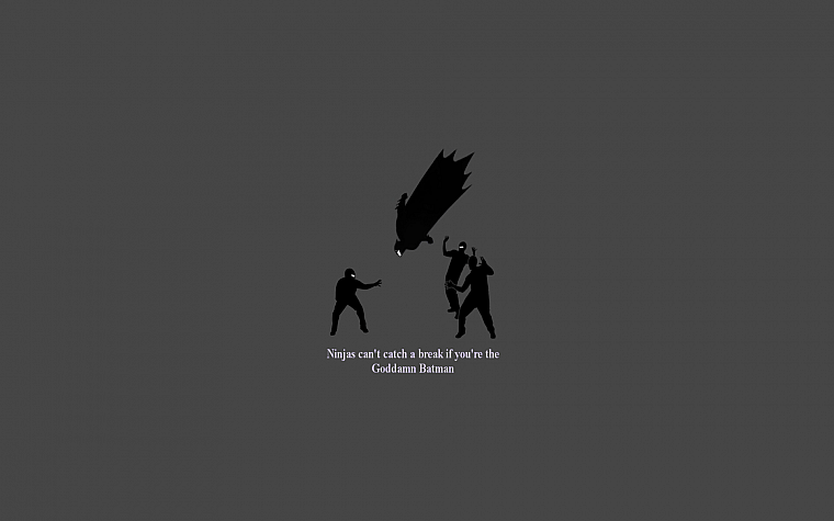 Goddamn Batman, ninjas cant catch you if - desktop wallpaper