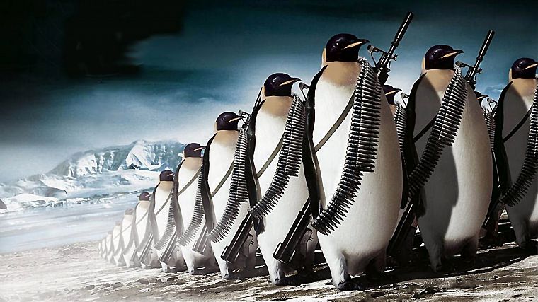 army, penguins - desktop wallpaper
