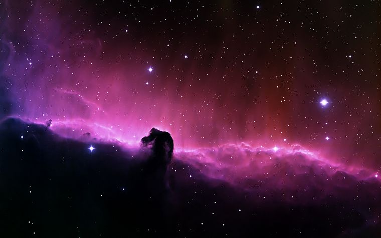outer space, stars, nebulae, Horsehead Nebula - desktop wallpaper