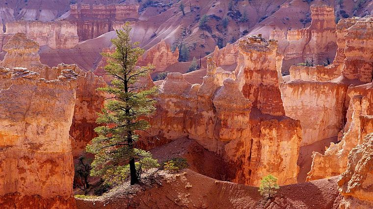 Bryce Canyon, Utah - desktop wallpaper