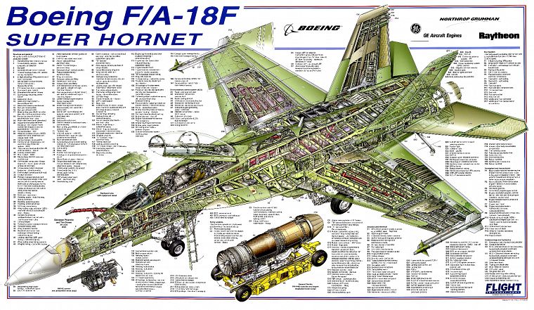 Hornet aircraft, Boeing, infographics, F-18 Hornet - desktop wallpaper