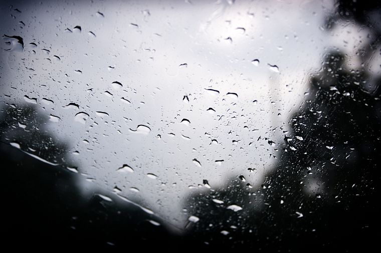 water, rain, glass, window, water drops, condensation, rain on glass - desktop wallpaper