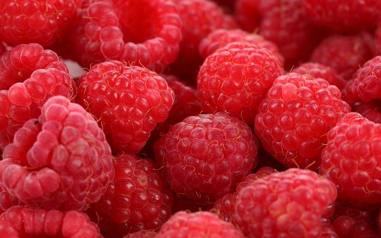 fruits, raspberries - desktop wallpaper