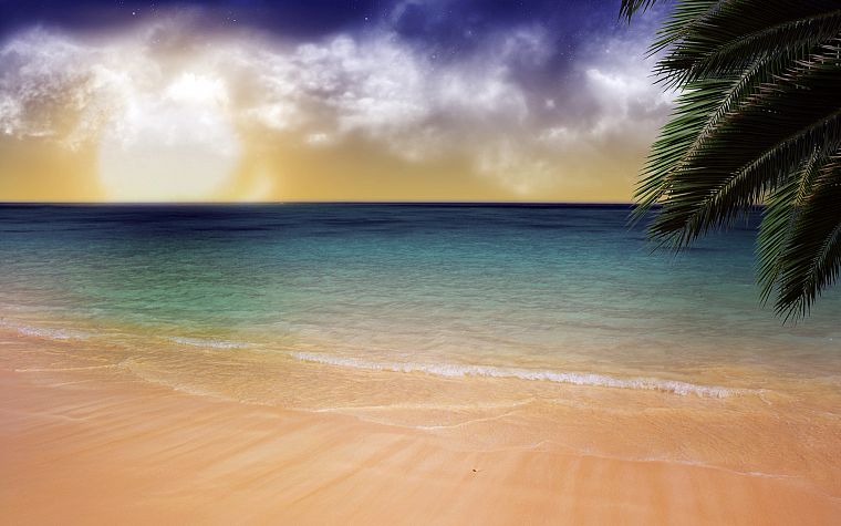 water, ocean, clouds, sand, trees, outdoors, palm trees, skyscapes, sea, beaches - desktop wallpaper