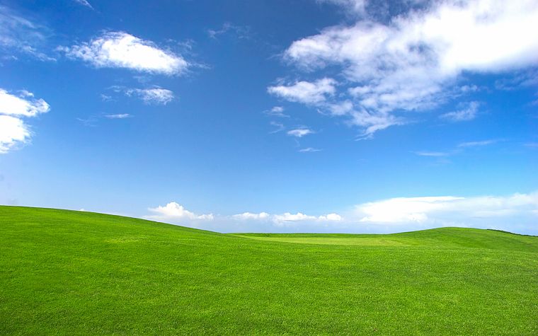 landscapes, fields - desktop wallpaper