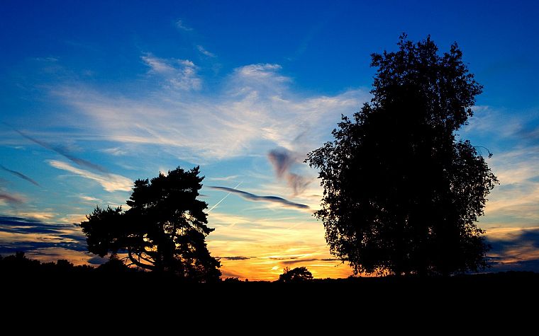 sunset, nature, trees - desktop wallpaper