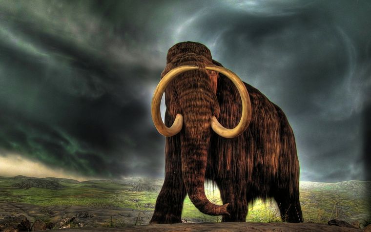 animals, One Million Years B.C., mammoth - desktop wallpaper
