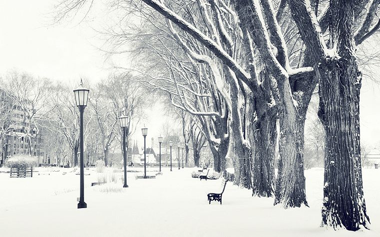 winter, snow, streets - desktop wallpaper