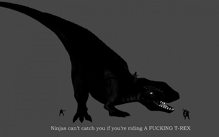 ninjas, ninjas cant catch you if, Tyrannosaurus Rex - desktop wallpaper