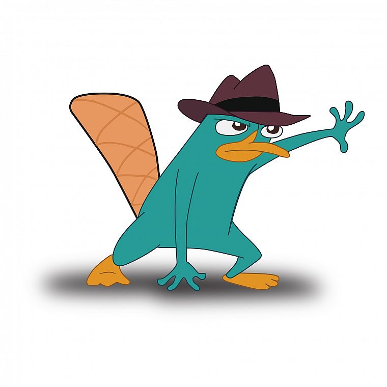 Perry the Platypus, Schnabeltier - desktop wallpaper