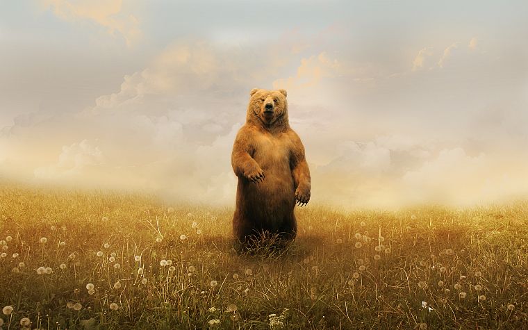 animals, artwork, bears - desktop wallpaper