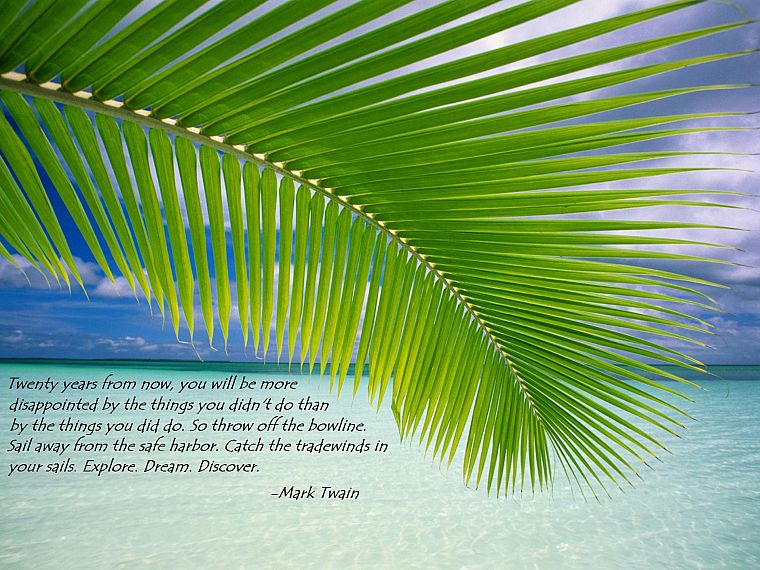 quotes, Mark Twain, beaches - desktop wallpaper