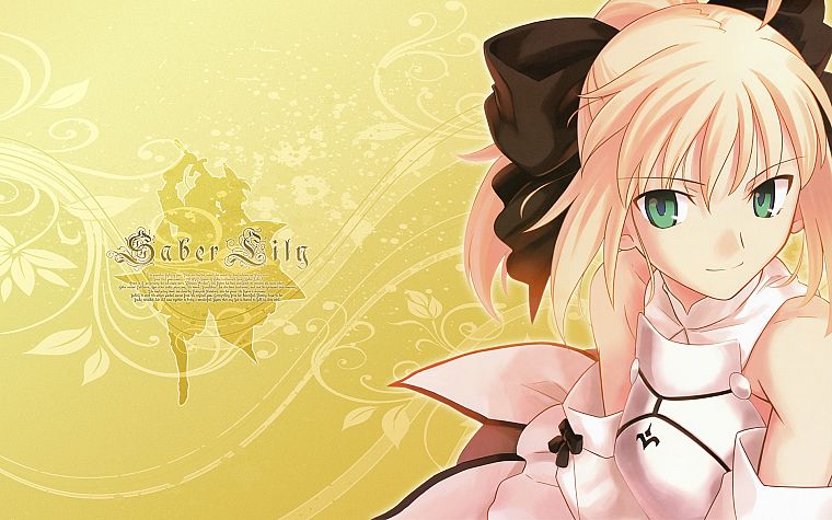 Fate/Stay Night, Fate Unlimited Codes, anime, Saber, soft shading, Saber Lily, detached sleeves, Fate series - desktop wallpaper