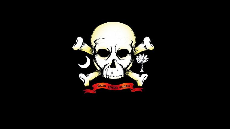 pirates, skull and crossbones - desktop wallpaper