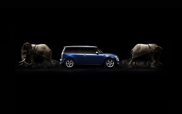 cars, elephants - desktop wallpaper