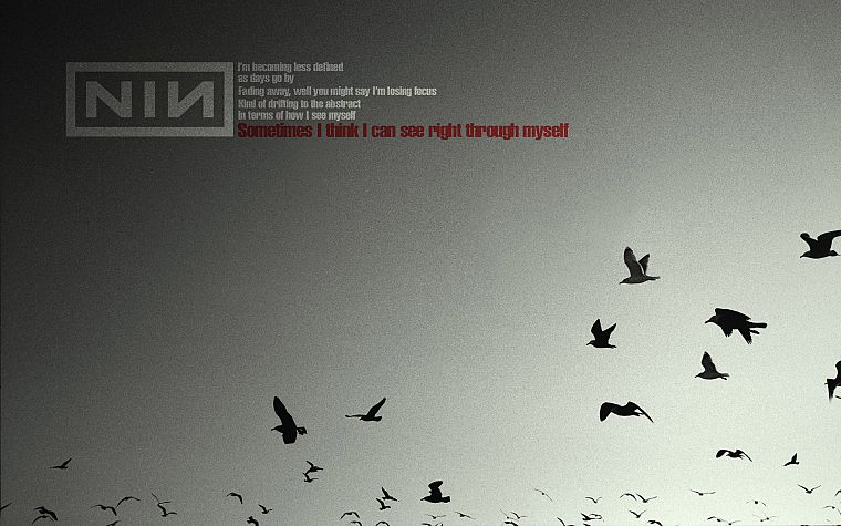 Nine Inch Nails, music bands - desktop wallpaper