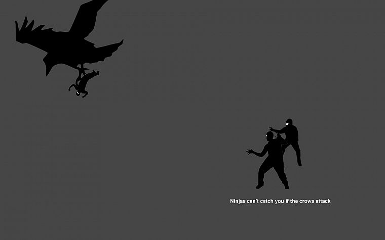 ninjas cant catch you if, crows - desktop wallpaper