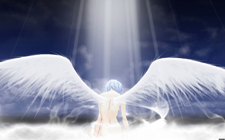 angels, wings, Ayanami Rei, Neon Genesis Evangelion - desktop wallpaper