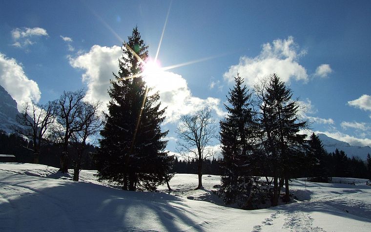 landscapes, nature, winter, snow, trees, HDR photography - desktop wallpaper