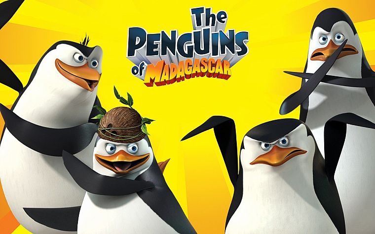 penguins, madagascar - desktop wallpaper