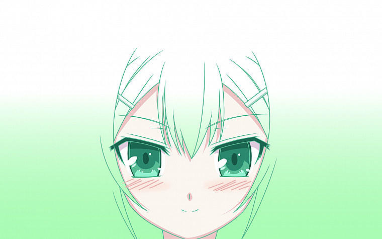 green, Baka to Test to Shoukanjuu, Kinoshita Hideyoshi, simple background - desktop wallpaper