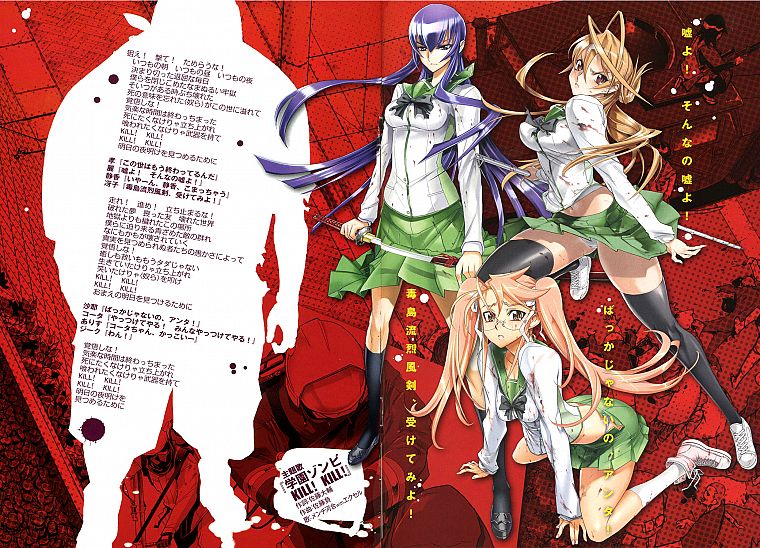 school uniforms, Highschool of the Dead, Miyamoto Rei, Busujima Saeko, Takagi Saya - desktop wallpaper