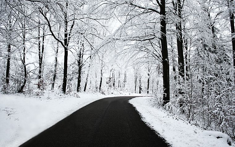 landscapes, nature, winter, snow, trees, roads - desktop wallpaper