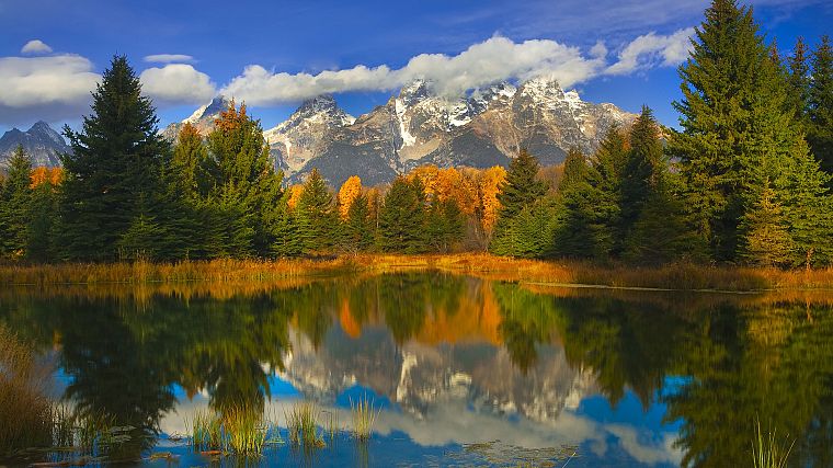 autumn, Wyoming, Grand Teton National Park, National Park, reflections - desktop wallpaper