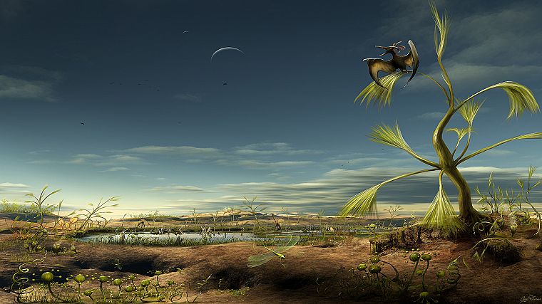 birds, deserts, Moon, plants, alien landscapes - desktop wallpaper