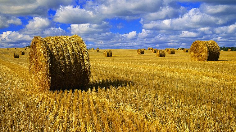 blue, nature, yellow, hay, skyscapes - desktop wallpaper