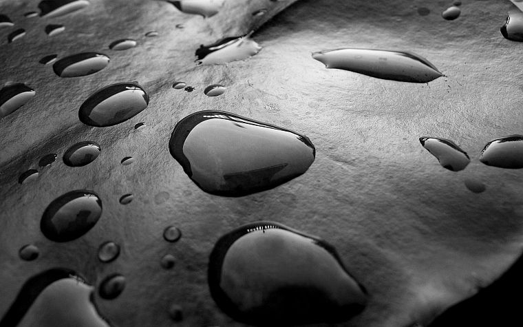 water, wet, monochrome, water drops, greyscale - desktop wallpaper